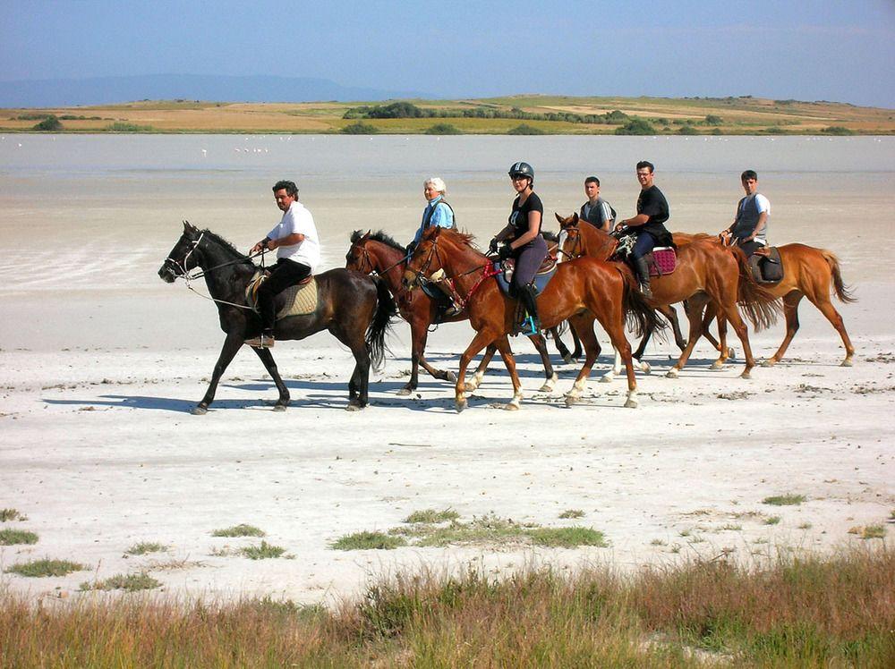 Horse Country Resort Congress & Spa - Hotel Ribot أربورْيا المظهر الخارجي الصورة