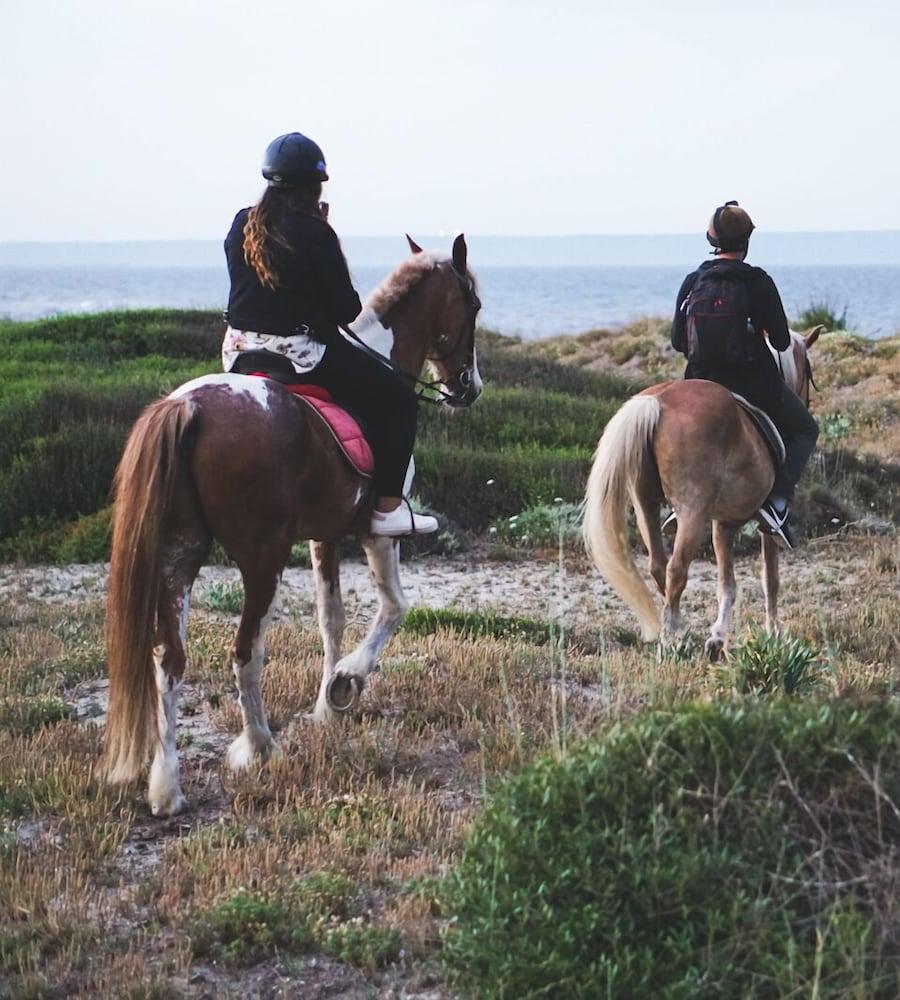 Horse Country Resort Congress & Spa - Hotel Ribot أربورْيا المظهر الخارجي الصورة