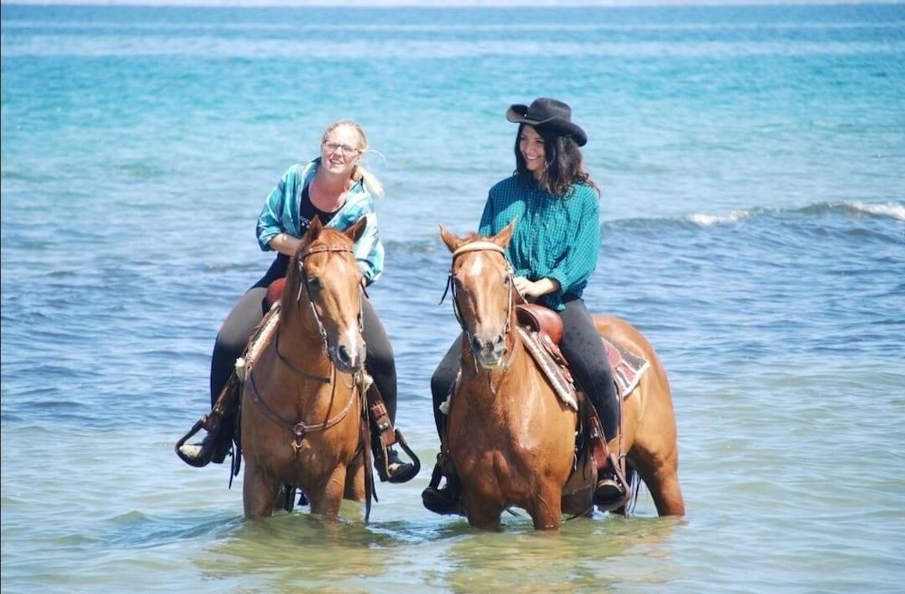 Horse Country Resort Congress & Spa - Hotel Ribot أربورْيا المظهر الخارجي الصورة