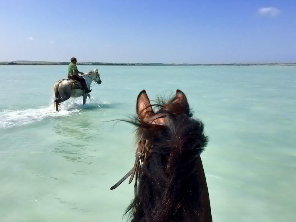 Horse Country Resort Congress & Spa - Hotel Ribot أربورْيا المظهر الخارجي الصورة