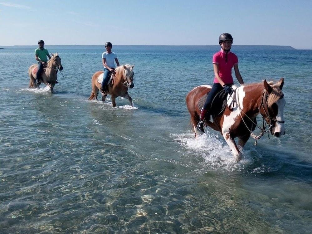 Horse Country Resort Congress & Spa - Hotel Ribot أربورْيا المظهر الخارجي الصورة