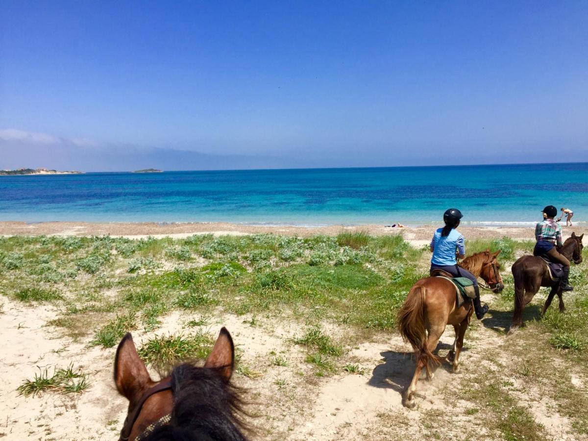 Horse Country Resort Congress & Spa - Hotel Ribot أربورْيا المظهر الخارجي الصورة