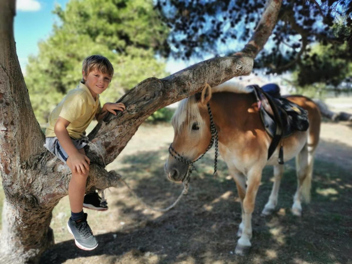 Horse Country Resort Congress & Spa - Hotel Ribot أربورْيا المظهر الخارجي الصورة