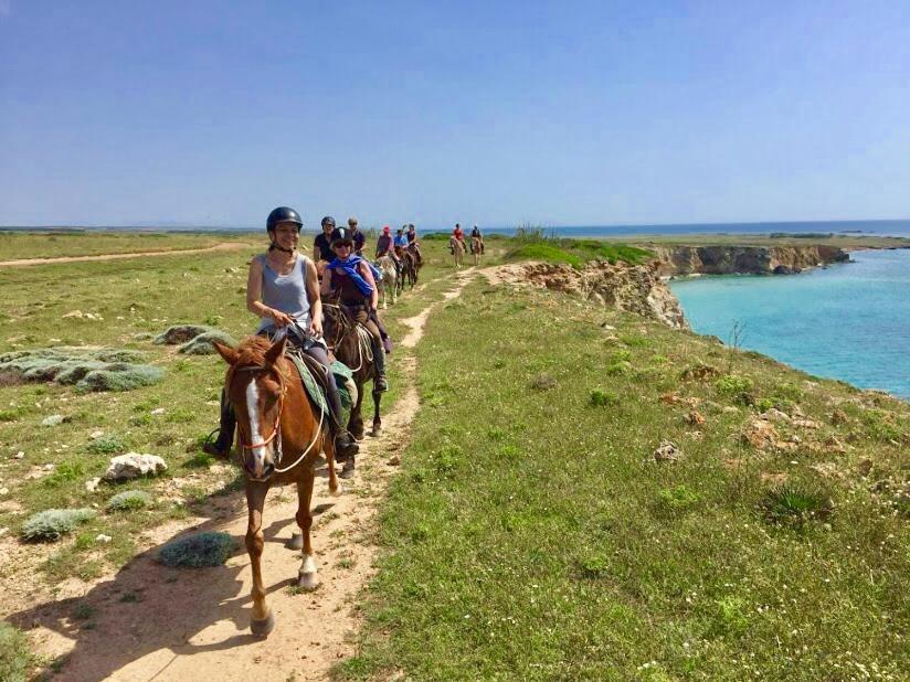 Horse Country Resort Congress & Spa - Hotel Ribot أربورْيا المظهر الخارجي الصورة