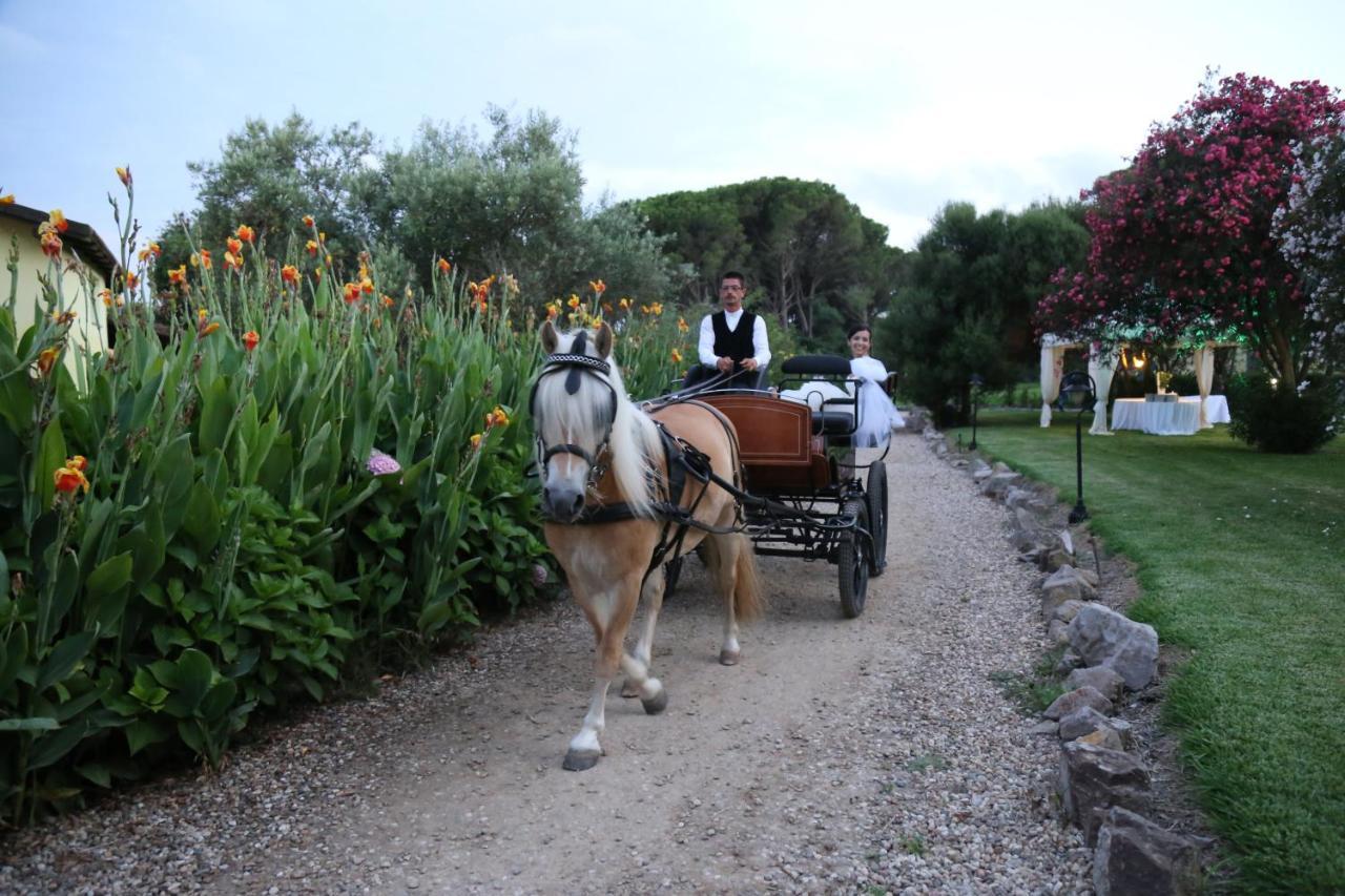 Horse Country Resort Congress & Spa - Hotel Ribot أربورْيا المظهر الخارجي الصورة